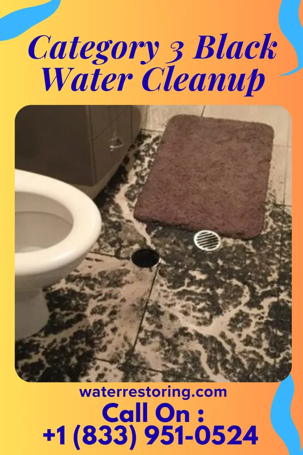 Category 3 Black Water Cleanup in Point Pleasant, NJ