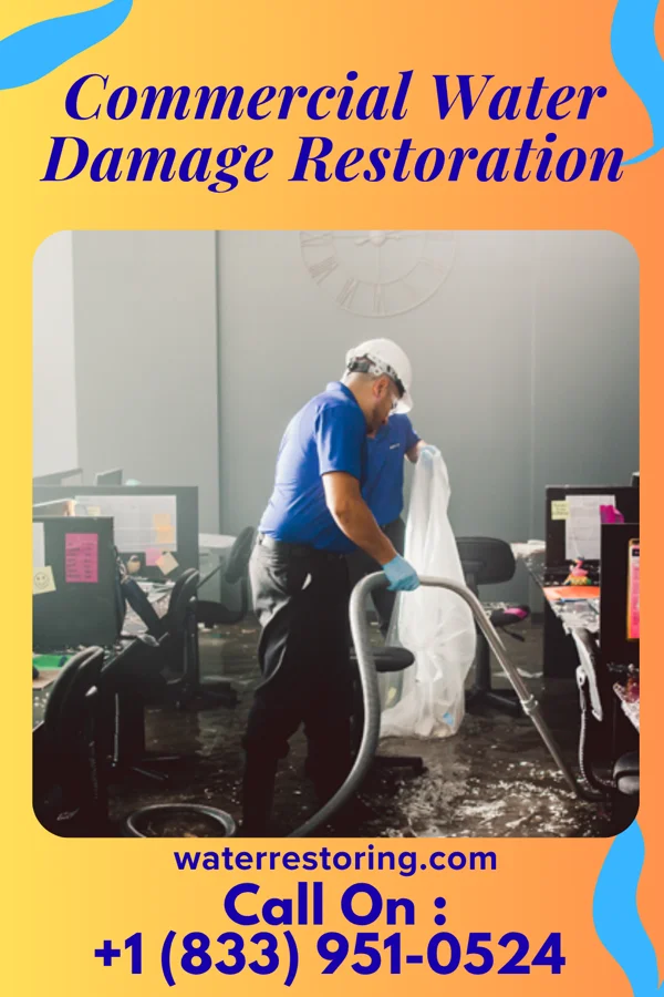 Commercial Water Damage Restoration in Point Pleasant, NJ