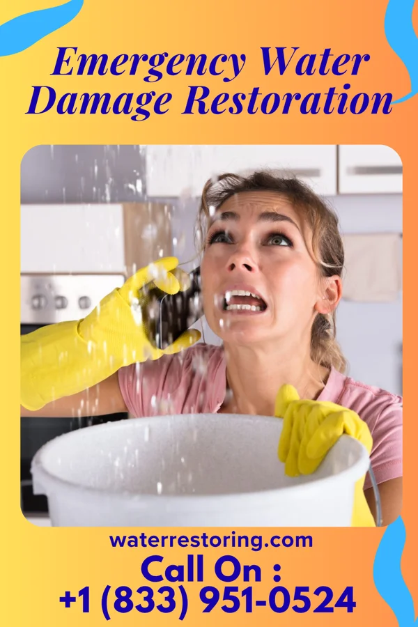 Emergency Water Damage Restoration in Point Pleasant, NJ