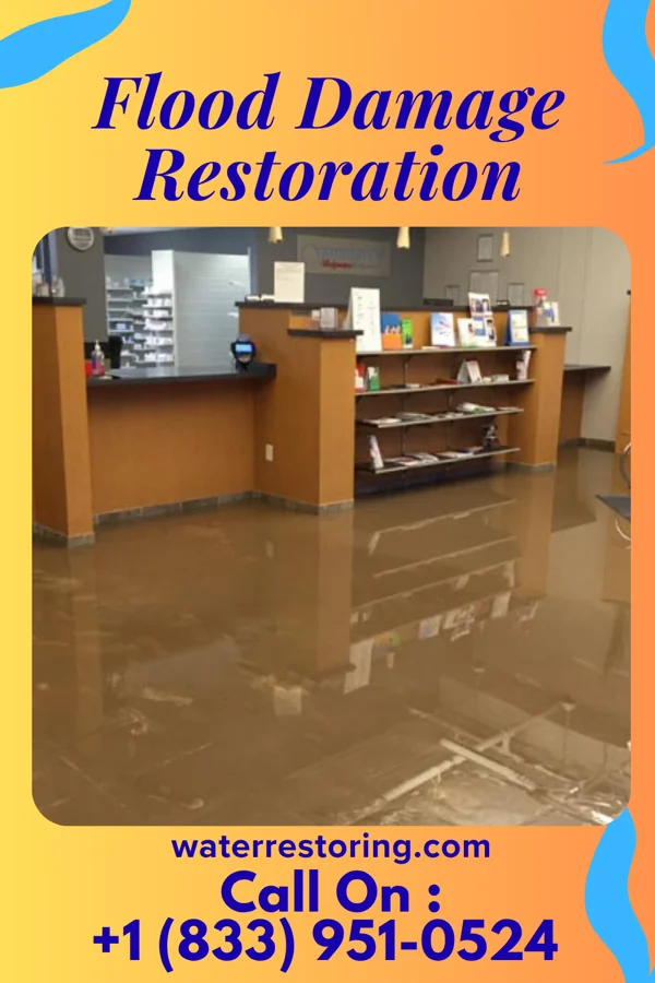 Flood Damage Restoration in Point Pleasant, NJ