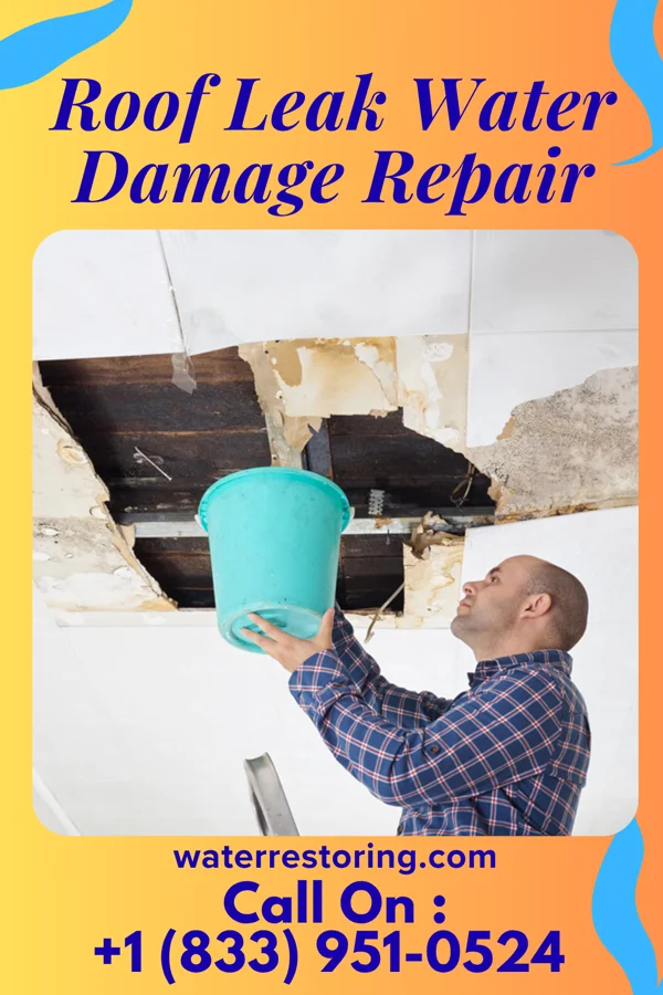 Roof Leak Water Damage Repair in Point Pleasant, NJ