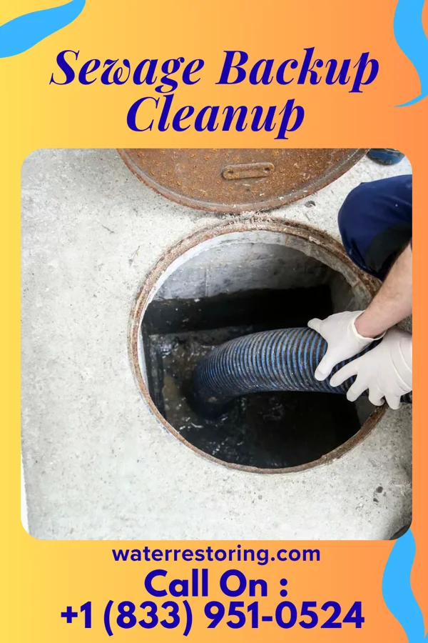 Sewage Backup Cleanup in Point Pleasant, NJ