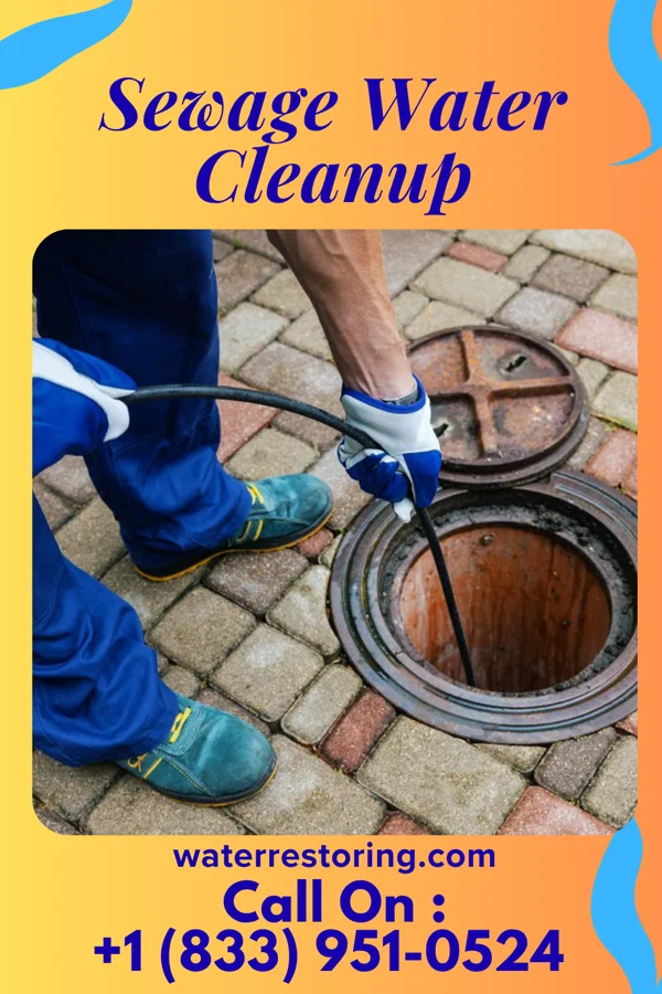 Sewage Water Cleanup in Point Pleasant, NJ