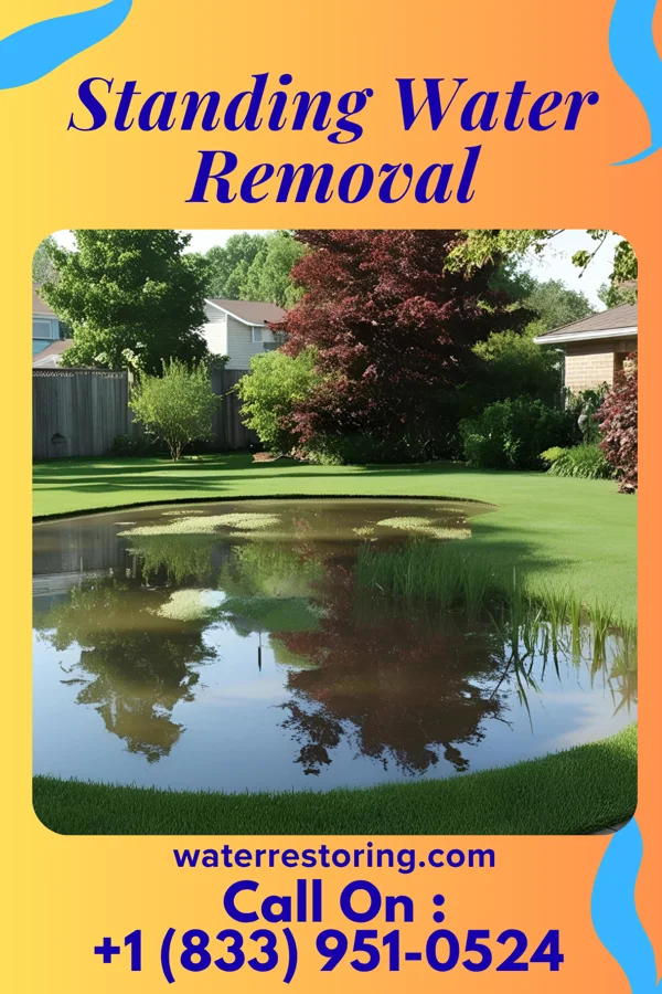 Standing Water Removal in Point Pleasant, NJ